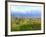 Logan City & Cache Valley at Sunset, Utah, USA-Scott T^ Smith-Framed Photographic Print