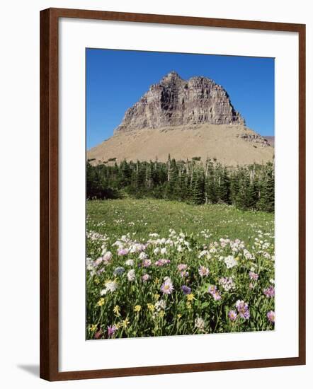 Logan Pass, Glacier National Park, Montana, United States of America, North America-James Hager-Framed Photographic Print