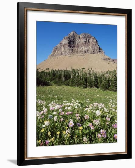 Logan Pass, Glacier National Park, Montana, United States of America, North America-James Hager-Framed Photographic Print