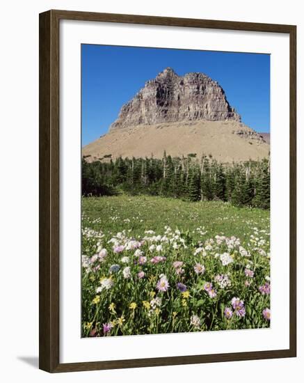 Logan Pass, Glacier National Park, Montana, United States of America, North America-James Hager-Framed Photographic Print