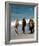 Logan's Run-null-Framed Photo