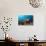 Loggerhead Sea Turtle (Caretta Caretta)-Reinhard Dirscherl-Photographic Print displayed on a wall