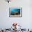 Loggerhead Sea Turtle (Caretta Caretta)-Reinhard Dirscherl-Framed Photographic Print displayed on a wall