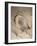 Loggerhead Turtle (Caretta Caretta), Laying Eggs at Night, Banga Nek, Kwazulu Natal, South Africa-Ann & Steve Toon-Framed Photographic Print
