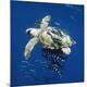 Premium Photographic Print