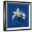 Loggerhead Turtle Juvenile with Pilot Fish-null-Framed Photographic Print
