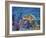 Loggerhead Turtle-Lucy P. McTier-Framed Giclee Print