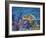 Loggerhead Turtle-Lucy P. McTier-Framed Giclee Print