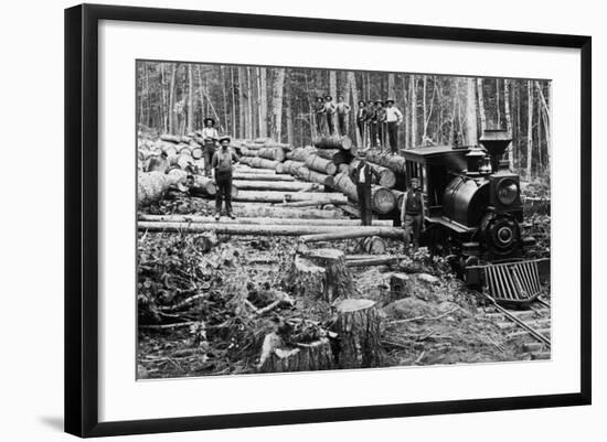 Photographic Print, , large