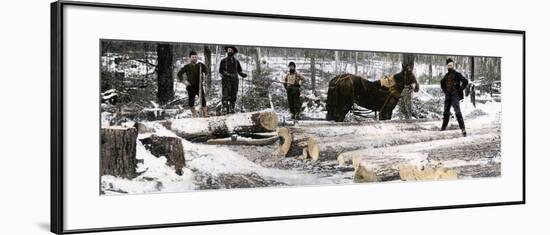 Loggers Using a "Go-Devil" Sledge in Minnesota, 1890s-null-Framed Giclee Print