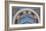 Loggia in the Vatican I (detail)-Raphael-Framed Art Print