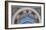Loggia in the Vatican I (detail)-Raphael-Framed Art Print