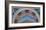 Loggia in the Vatican III (detail)-Raphael-Framed Art Print