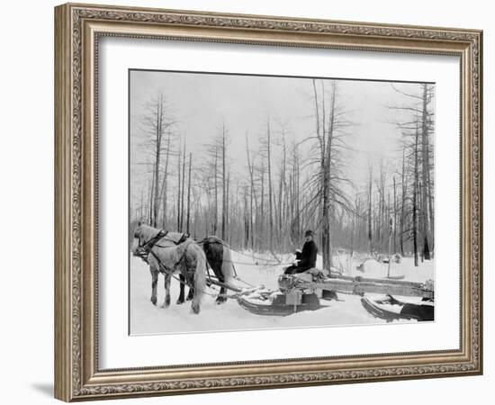 Logging in Michigan, the Sled-null-Framed Photo