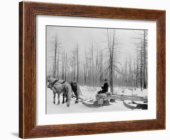 Logging in Michigan, the Sled-null-Framed Photo