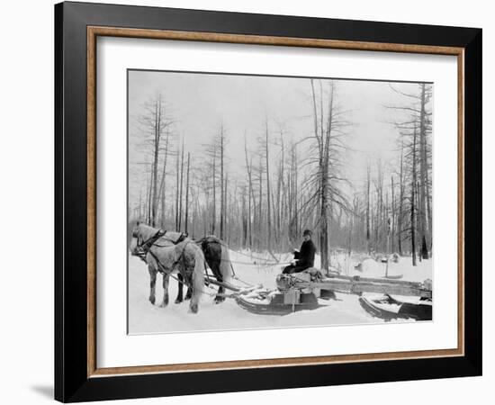 Logging in Michigan, the Sled-null-Framed Photo