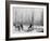 Logging in Michigan, the Sled-null-Framed Photo