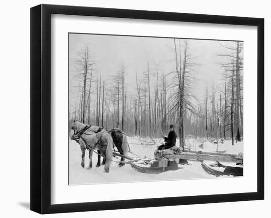 Logging in Michigan, the Sled-null-Framed Photo