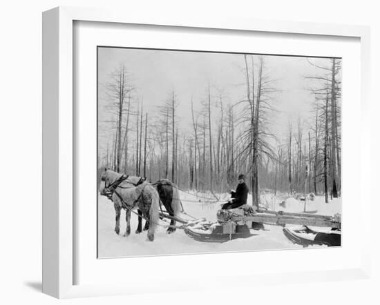 Logging in Michigan, the Sled-null-Framed Photo