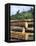 Logging in the Rain Forest, Island of Borneo, Malaysia-Anthony Waltham-Framed Premier Image Canvas