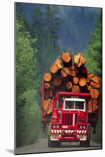 Logging Truck Loaded with Logs-David Nunuk-Mounted Photographic Print