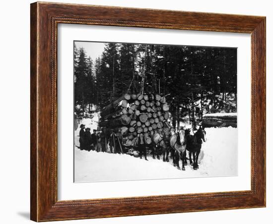 Logs being hauled on a Sleigh by a Team of Horses Photograph - Alaska-Lantern Press-Framed Art Print