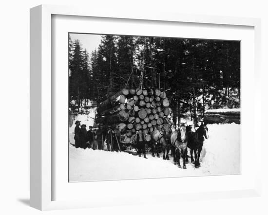 Logs being hauled on a Sleigh by a Team of Horses Photograph - Alaska-Lantern Press-Framed Art Print