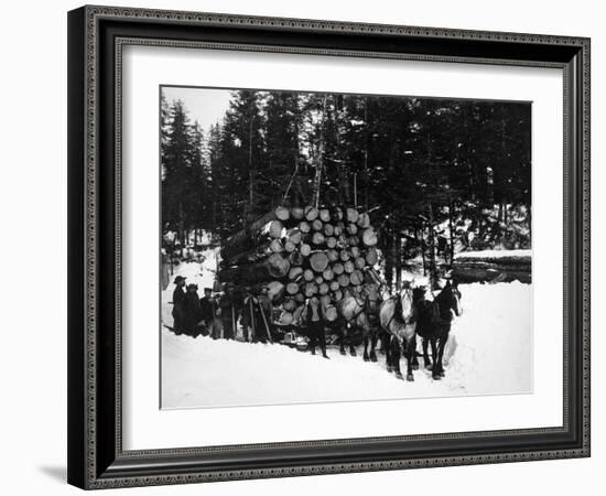 Logs being hauled on a Sleigh by a Team of Horses Photograph - Alaska-Lantern Press-Framed Art Print