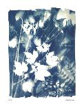 Water Lilies-Lois Bender-Giclee Print