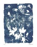 Garden Shadow 4-Lois Bender-Framed Giclee Print