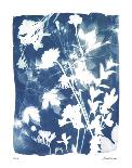 Water Lilies-Lois Bender-Framed Giclee Print