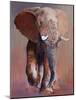Loisaba Bull, 2018,-Mark Adlington-Mounted Giclee Print