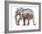 Loisaba conservancy-Mark Adlington-Framed Giclee Print