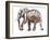 Loisaba conservancy-Mark Adlington-Framed Giclee Print