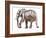 Loisaba conservancy-Mark Adlington-Framed Giclee Print