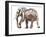 Loisaba conservancy-Mark Adlington-Framed Giclee Print