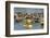 Lok Baintan Floating Market, Banjarmasin, Kalimantan, Indonesia-Keren Su-Framed Photographic Print