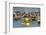 Lok Baintan Floating Market, Banjarmasin, Kalimantan, Indonesia-Keren Su-Framed Photographic Print