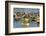 Lok Baintan Floating Market, Banjarmasin, Kalimantan, Indonesia-Keren Su-Framed Photographic Print