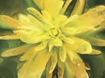 Painterly Flower V-Lola Henry-Framed Premier Image Canvas