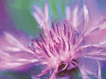 Painterly Flower V-Lola Henry-Photographic Print