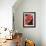 Lola's Fiery Wing-Belen Mena-Framed Giclee Print displayed on a wall