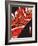 Lola's Fiery Wing-Belen Mena-Framed Giclee Print