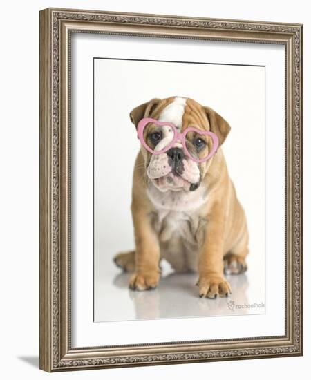 Lola-Rachael Hale-Framed Art Print