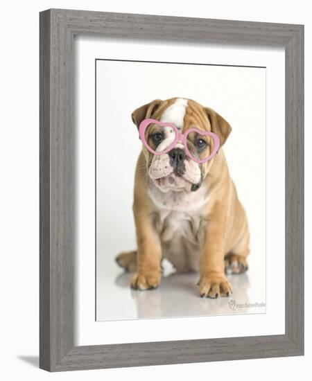 Lola-Rachael Hale-Framed Art Print