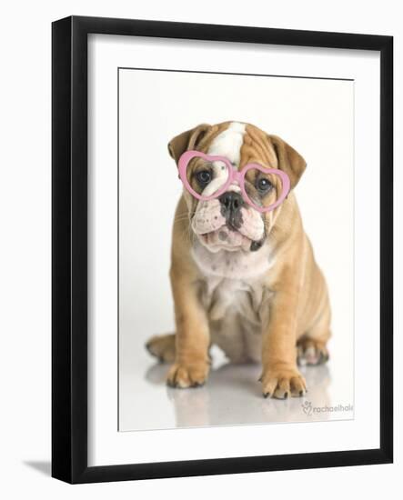 Lola-Rachael Hale-Framed Art Print