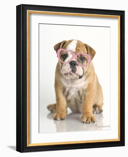 Lola-Rachael Hale-Framed Art Print