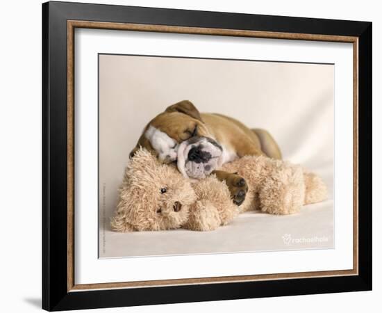 Lola-Rachael Hale-Framed Art Print