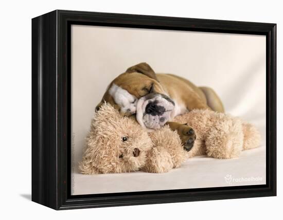 Lola-Rachael Hale-Framed Premier Image Canvas