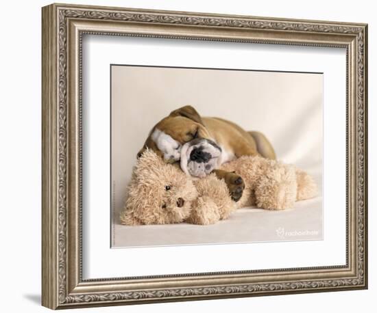 Lola-Rachael Hale-Framed Photographic Print